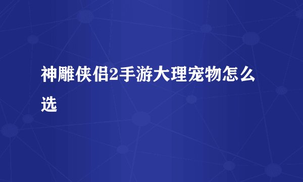 神雕侠侣2手游大理宠物怎么选