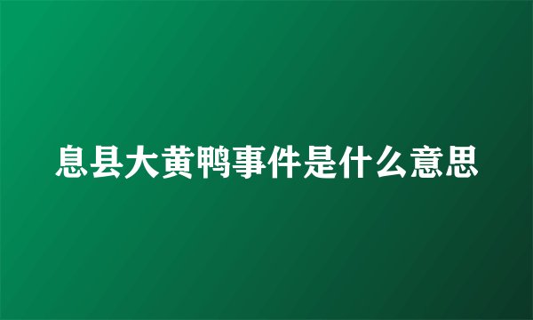 息县大黄鸭事件是什么意思