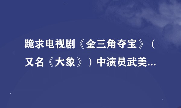 跪求电视剧《金三角夺宝》（又名《大象》）中演员武美沁的资料，越详细越好，