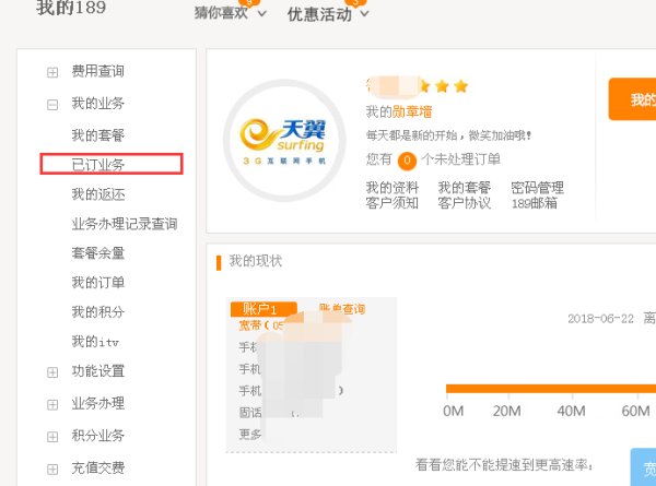 怎么查看自己手机已开通的服务?