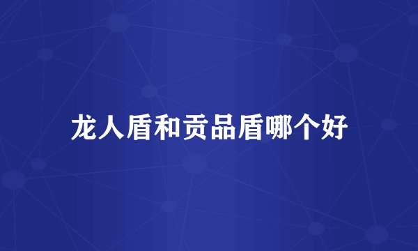 龙人盾和贡品盾哪个好