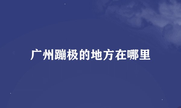 广州蹦极的地方在哪里
