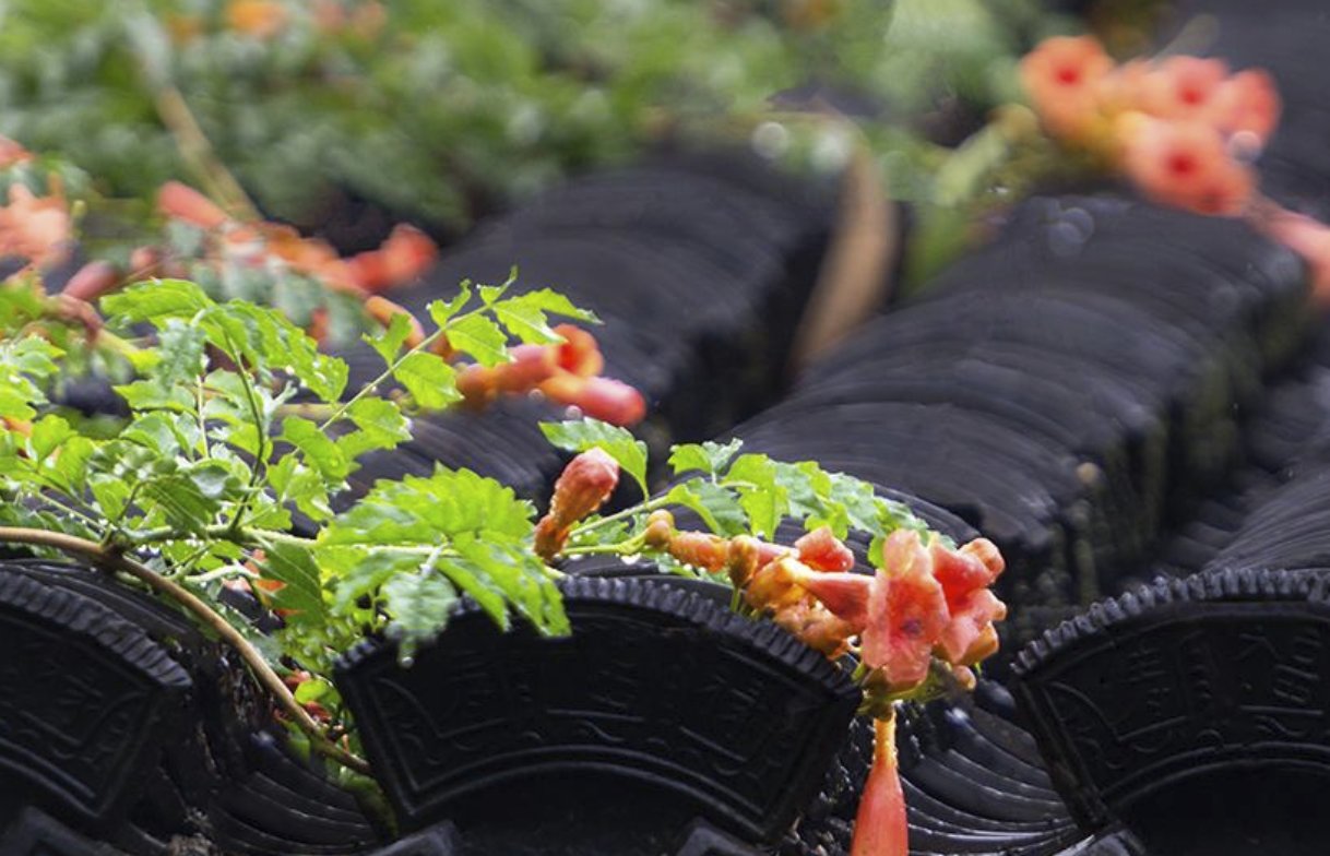 山雨的雨前，雨中，雨后分别是什么样的景象？
