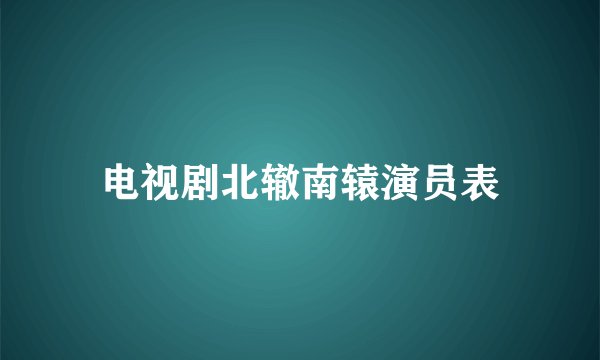 电视剧北辙南辕演员表