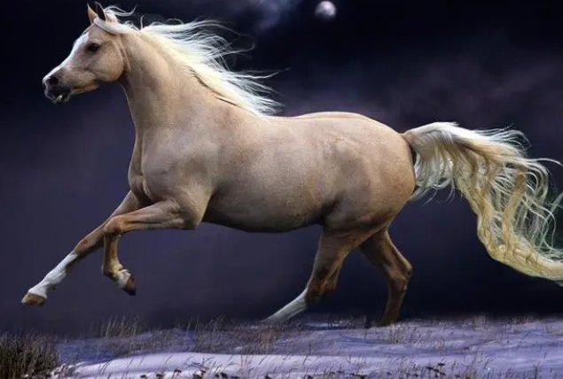 人马是怎么交流配队的