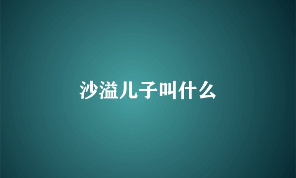 沙溢儿子叫什么