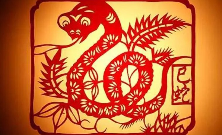 任人摆弄指正确生肖