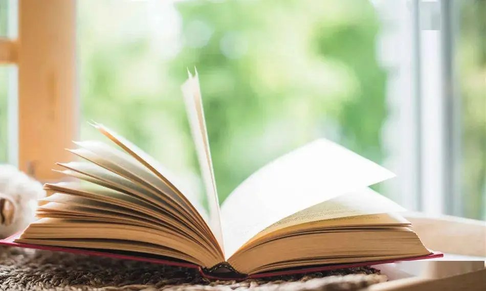 细写开小车车的小说推荐