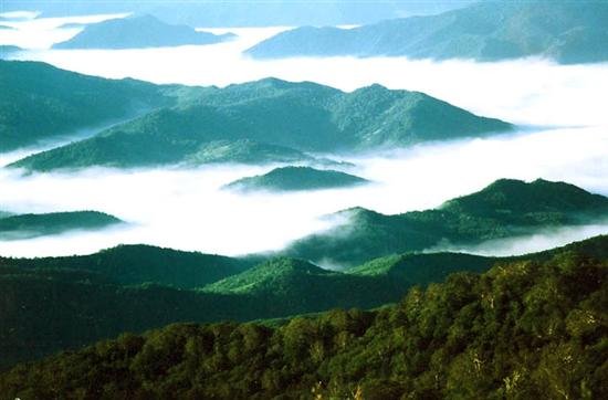 桓仁在线的对老百姓的作用