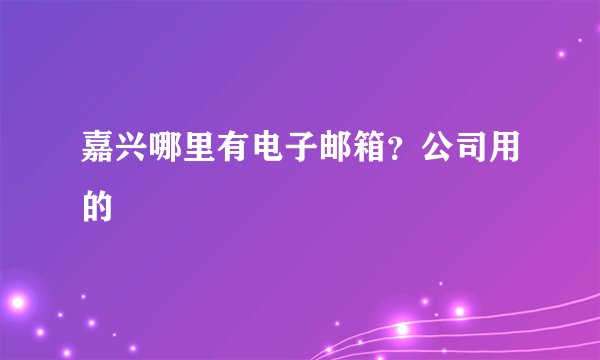 嘉兴哪里有电子邮箱？公司用的