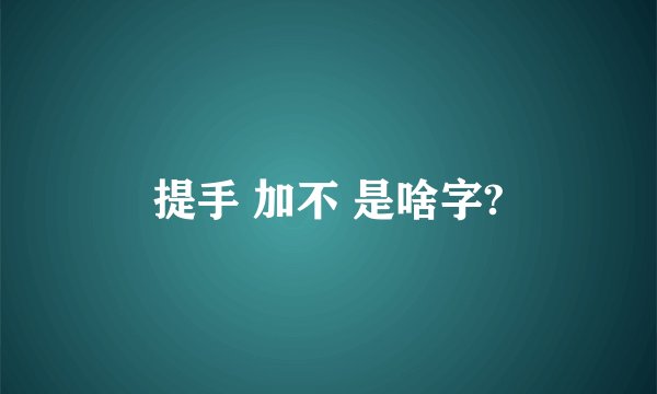 提手 加不 是啥字?