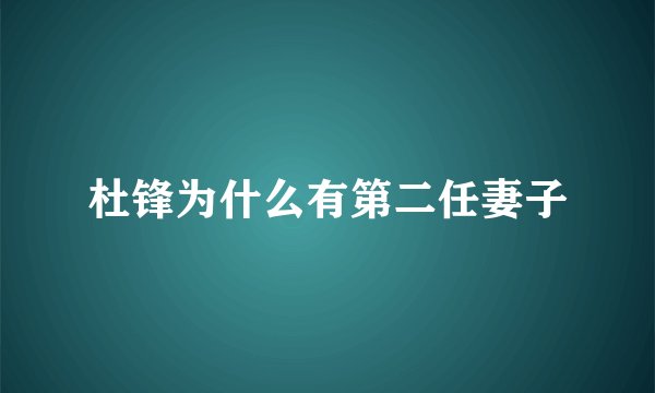 杜锋为什么有第二任妻子