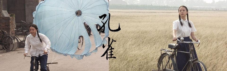 如何评价顾长卫的电影《孔雀》？