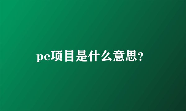pe项目是什么意思？
