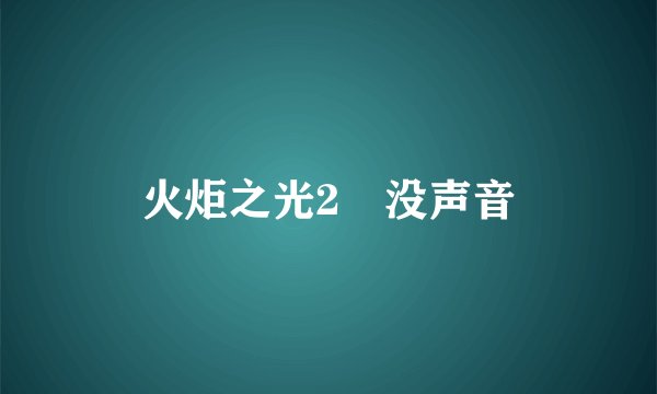 火炬之光2 没声音