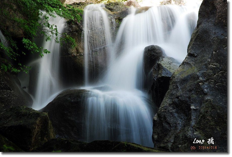 小瀑布山狼的分布范围