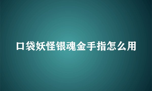 口袋妖怪银魂金手指怎么用