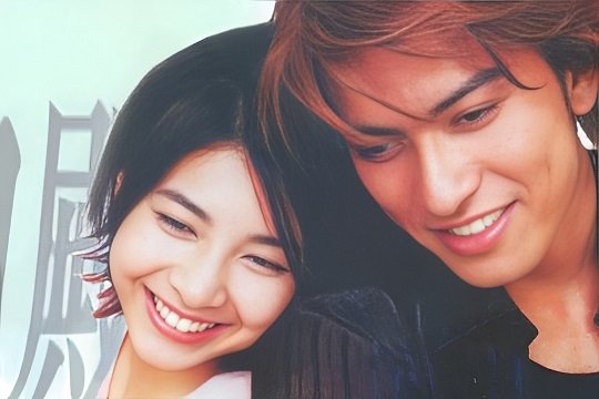 女婿大人分集剧情介绍