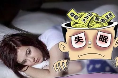 晚上睡不着看点免费软件