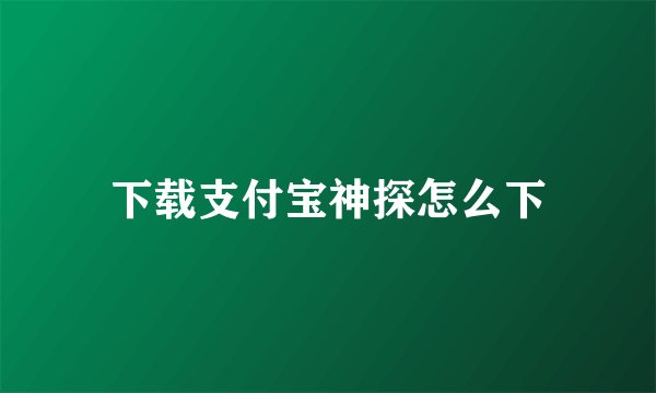 下载支付宝神探怎么下