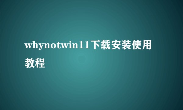 whynotwin11下载安装使用教程