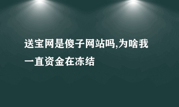 送宝网是傻子网站吗,为啥我一直资金在冻结