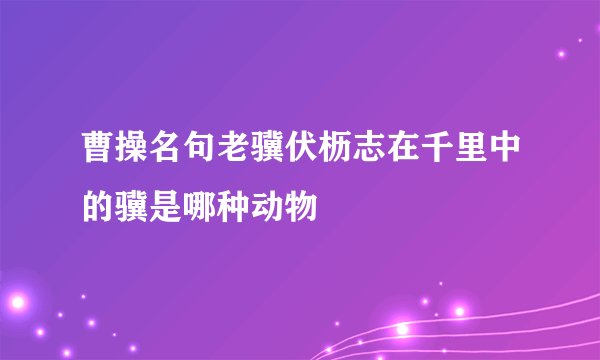 曹操名句老骥伏枥志在千里中的骥是哪种动物