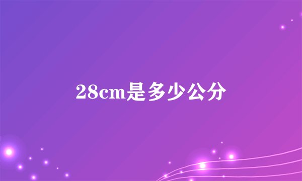 28cm是多少公分
