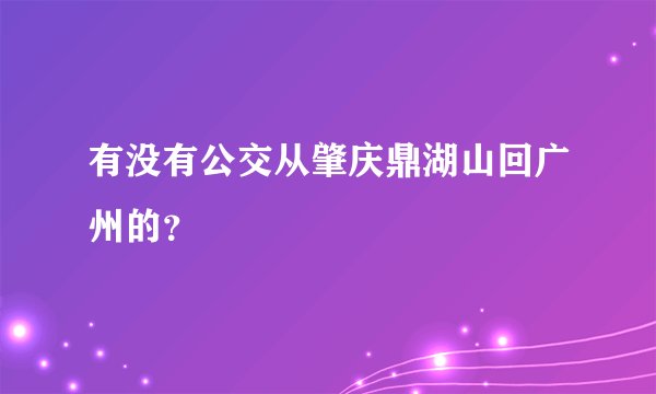 有没有公交从肇庆鼎湖山回广州的？