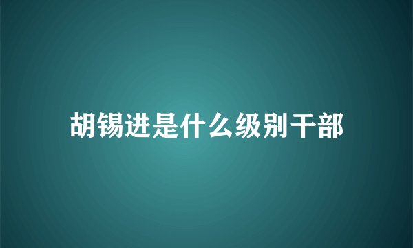 胡锡进是什么级别干部