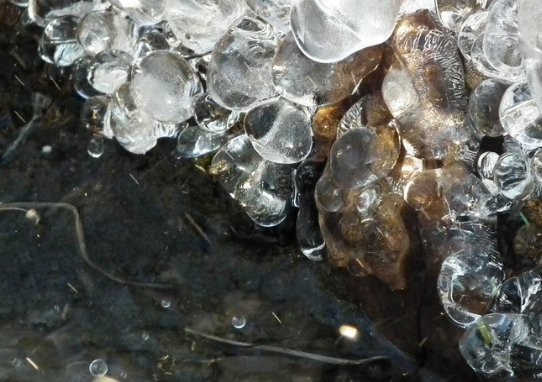 质量相同的零度的水和零度的冰哪个内能大