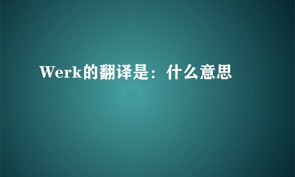 Werk的翻译是：什么意思