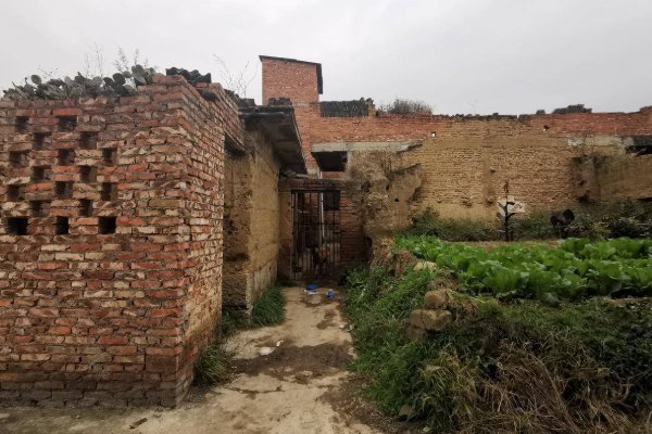 姐妹俩被妹妹前夫刺十余刀身亡，先出轨再杀人，为何如此嚣张？