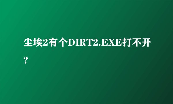 尘埃2有个DIRT2.EXE打不开？