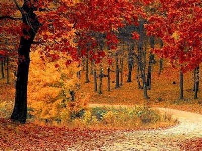 金秋十月的意思是什么?