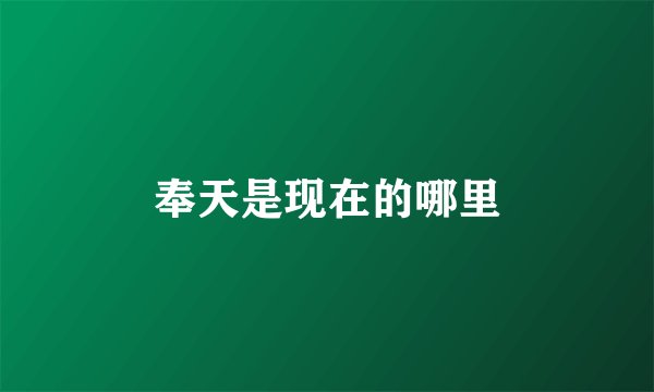 奉天是现在的哪里