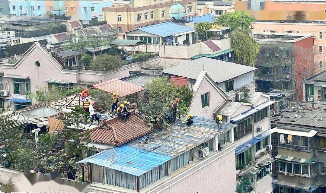 长沙一业主在楼顶建游泳池，业主这一行为合法吗？