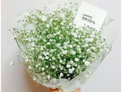 女人一般喜欢什么花？