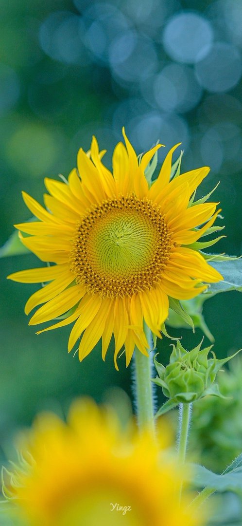 让男朋友瞬间燥热的话有哪些？