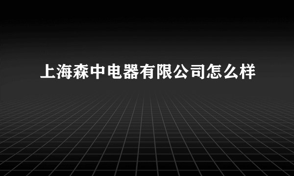 上海森中电器有限公司怎么样