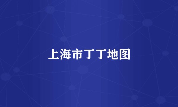 上海市丁丁地图