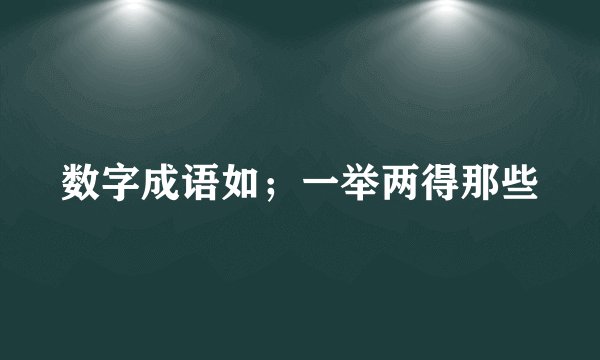 数字成语如；一举两得那些