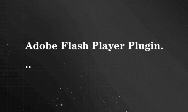 Adobe Flash Player Plugin_10.1是什么意思？