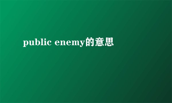 public enemy的意思