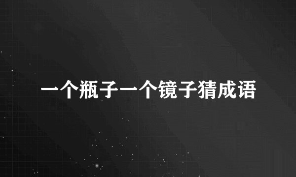 一个瓶子一个镜子猜成语