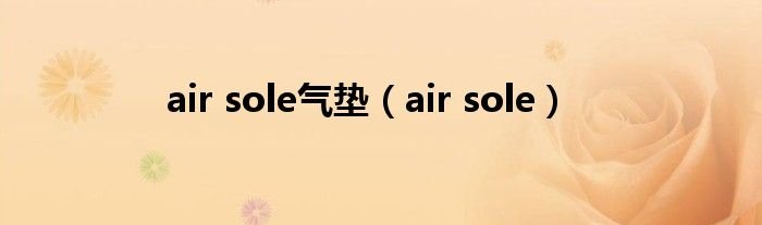 airsole气垫airsole