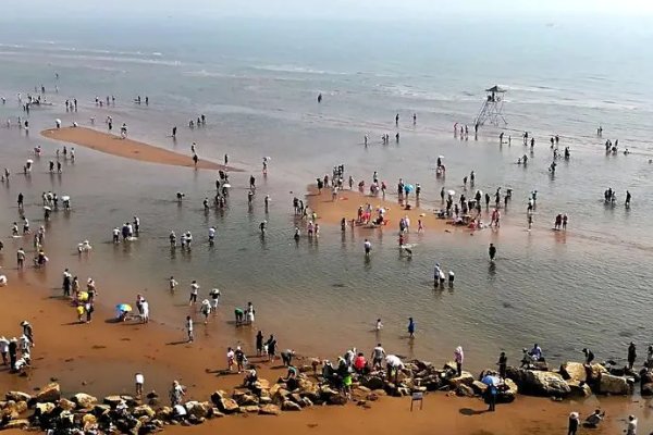 北戴河2023年8月赶海时间表