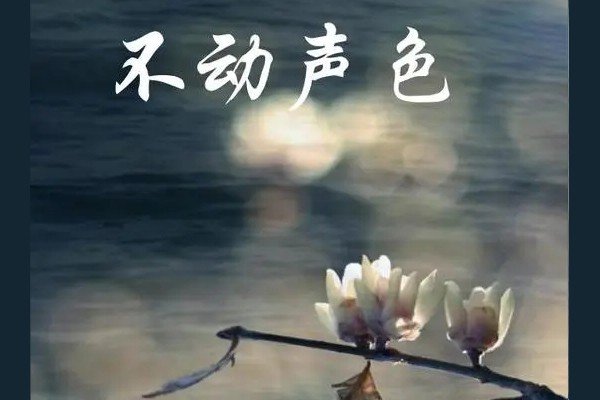 不动声色什么意思解释