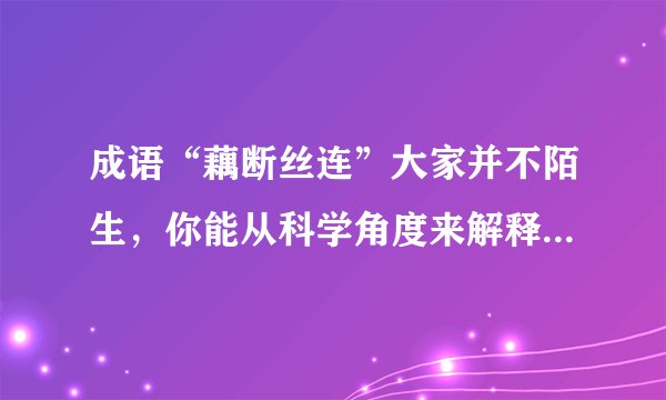 成语“藕断丝连”大家并不陌生，你能从科学角度来解释这一现象吗？
