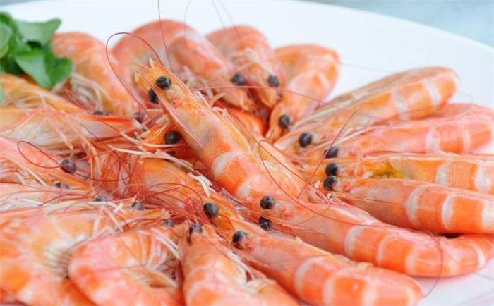 海洋中的虾都有哪几个品种
